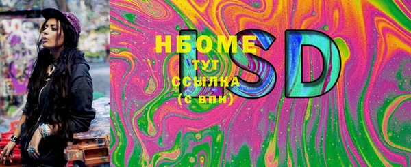 прущие грибы Балахна