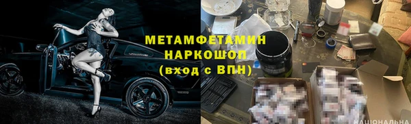 прущие грибы Балахна