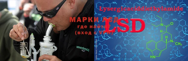прущие грибы Балахна