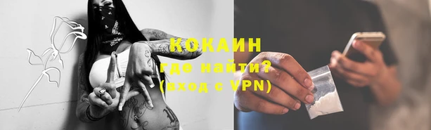 прущие грибы Балахна