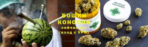 прущие грибы Балахна